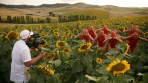 catalogo navarra shortzinema