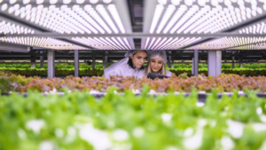 centro tecnologico agroalimentario navarra