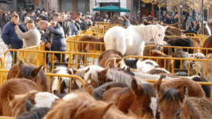 ferias san andres estella lizarra
