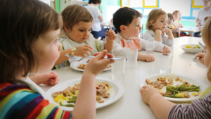 ayudas comedor escolar pamplona