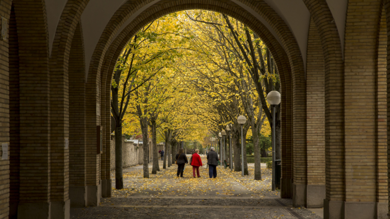 todos los santos cementerio pamplona