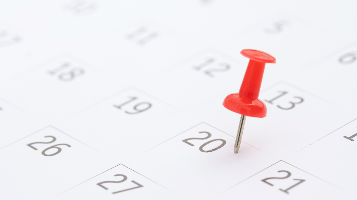 Estos son los festivos en Navarra para 2025: novedades y calendario completo
