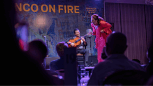 flamenco on fire navarra
