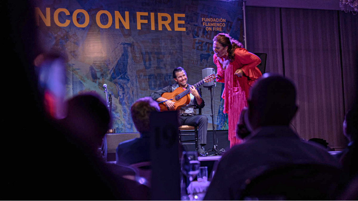 flamenco on fire navarra