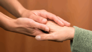 servicios sociales navarra mejores