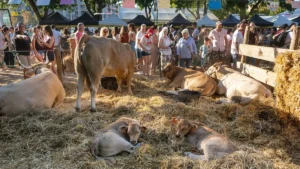 feria Autentika